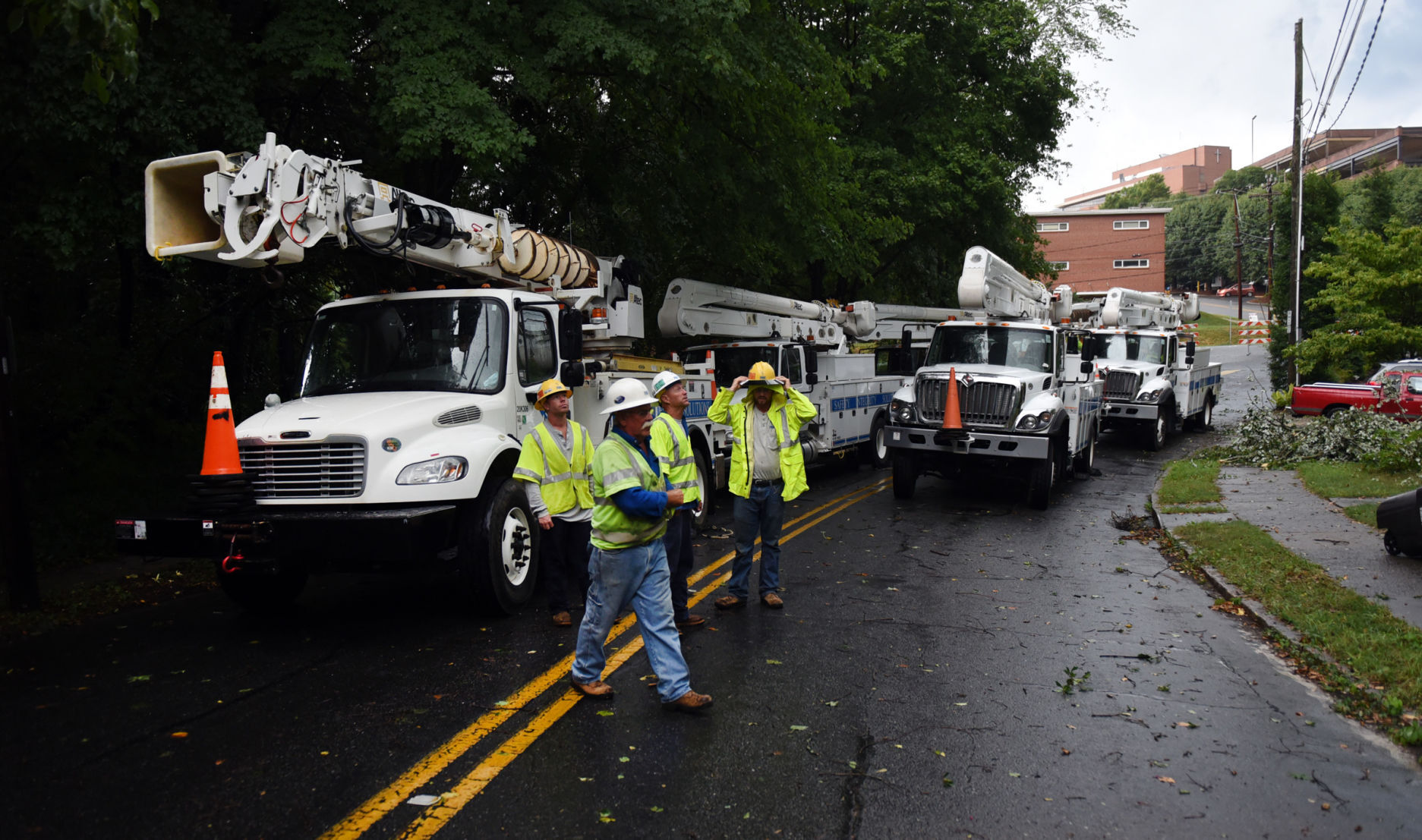 Tree falls on Queen Street house